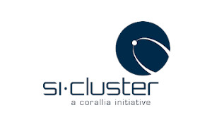 si_cluster-new si_cluster-new